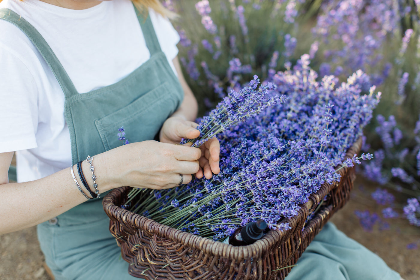 Entdecke die Magie von Lavendelöl für Entspannung und Schönheit!