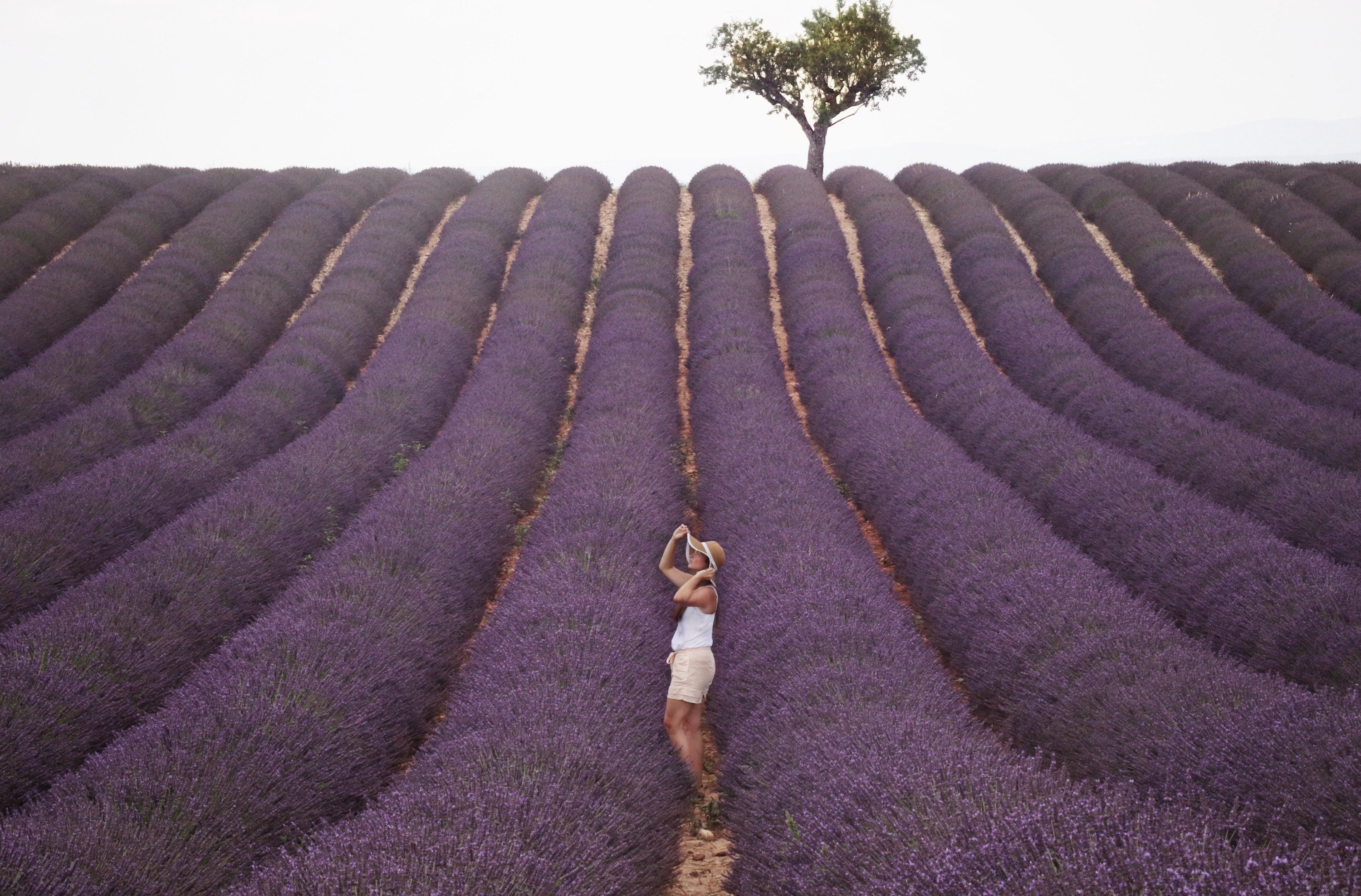 The Art of Scent - Entdecke die emotionale und spirituelle Kraft der Aromatherapie
