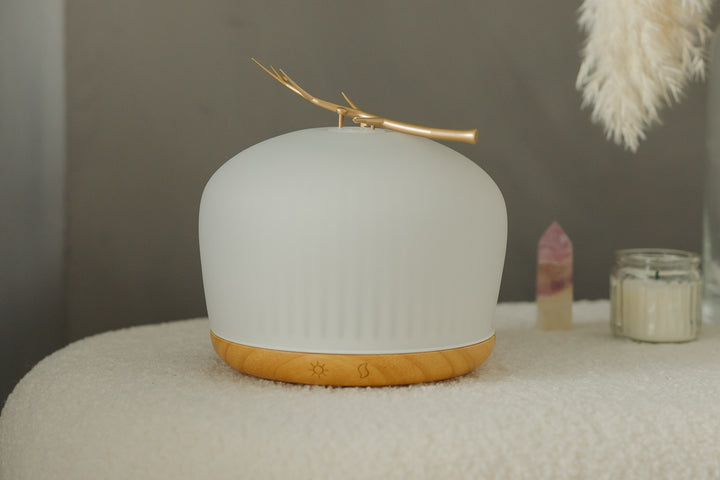 Glas Aroma Diffuser "Origin"