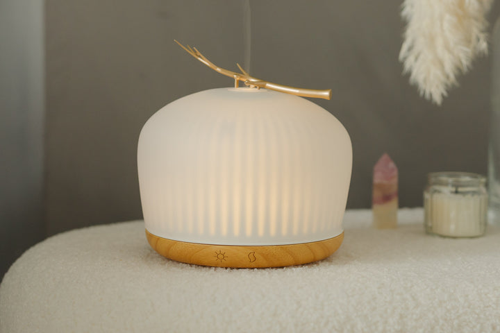 Glas Aroma Diffuser "Origin"